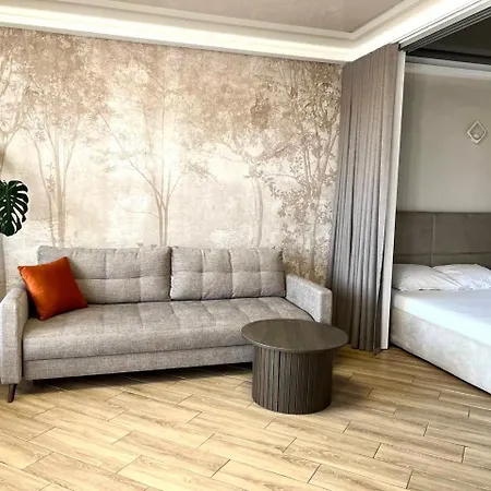 Old Center Apartman Lviv