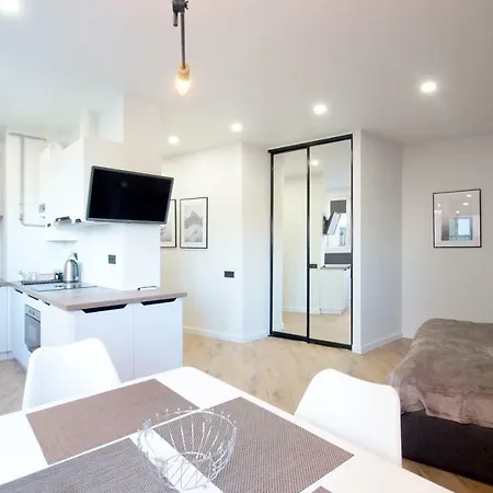 Old Center 公寓 利沃夫