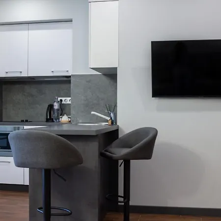 Old Center 公寓 利沃夫