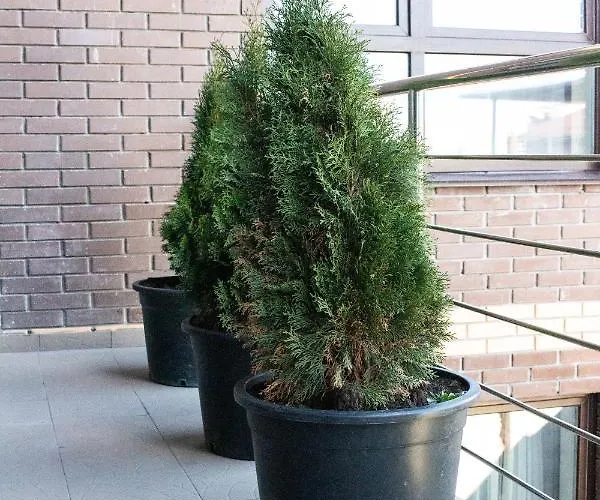 Apartamento Old Center